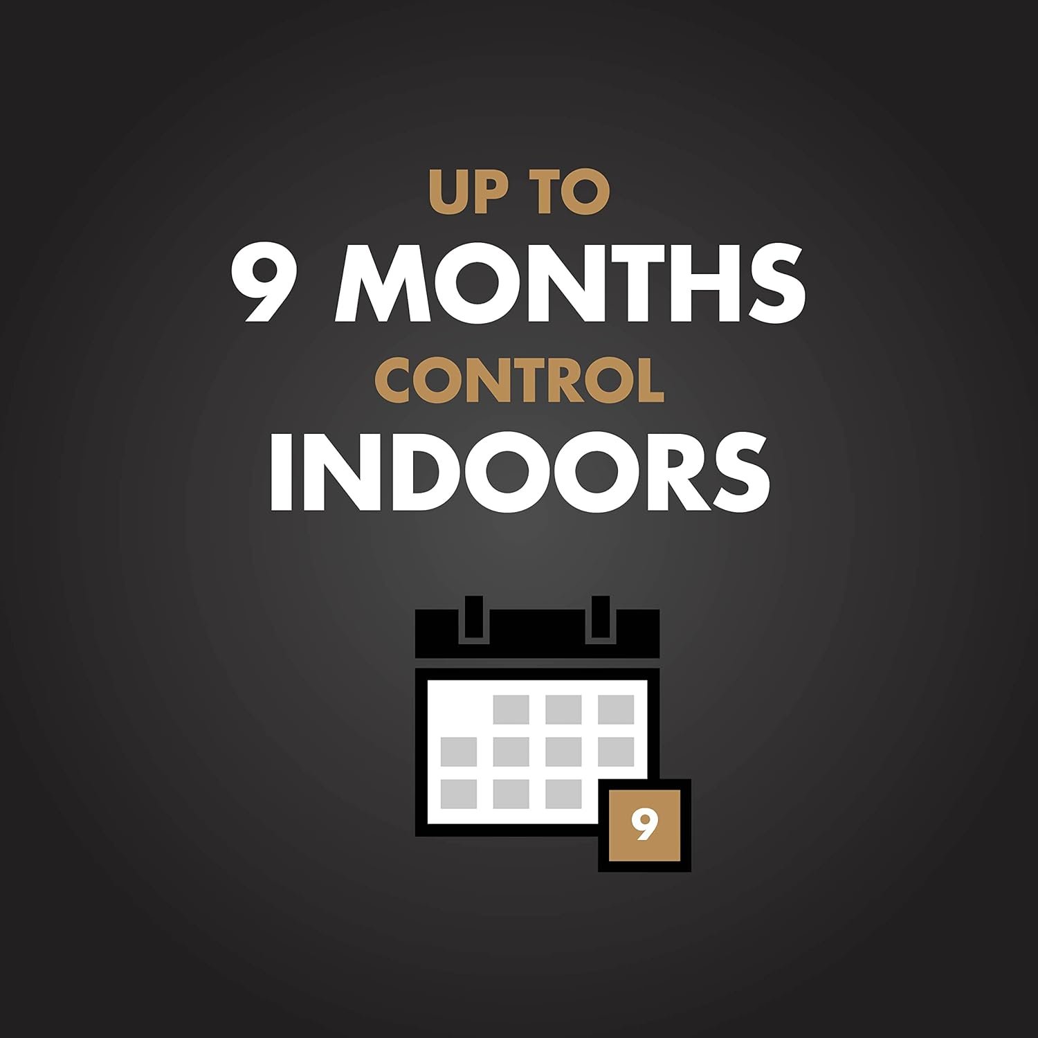 白蚁木蚁杀灭剂1.33加仑 精准喷雾器：留学租房防虫守护 轻松消灭家居隐患 安心小窝专注学业