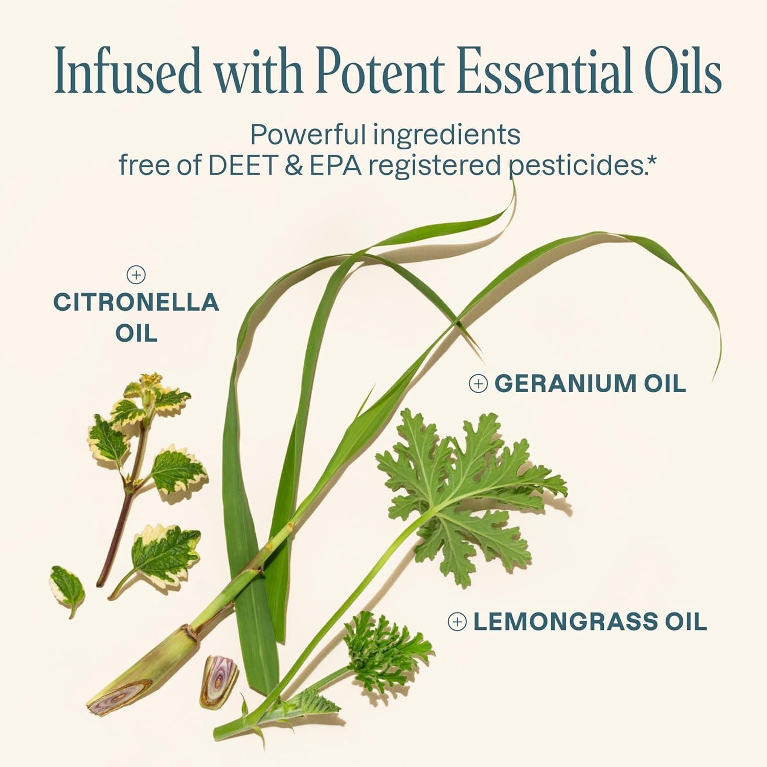 10包蚊子驱虫手环 成人小孩通用 自然无DEET 独立包装 海外租房露营防叮咬安心伴侣