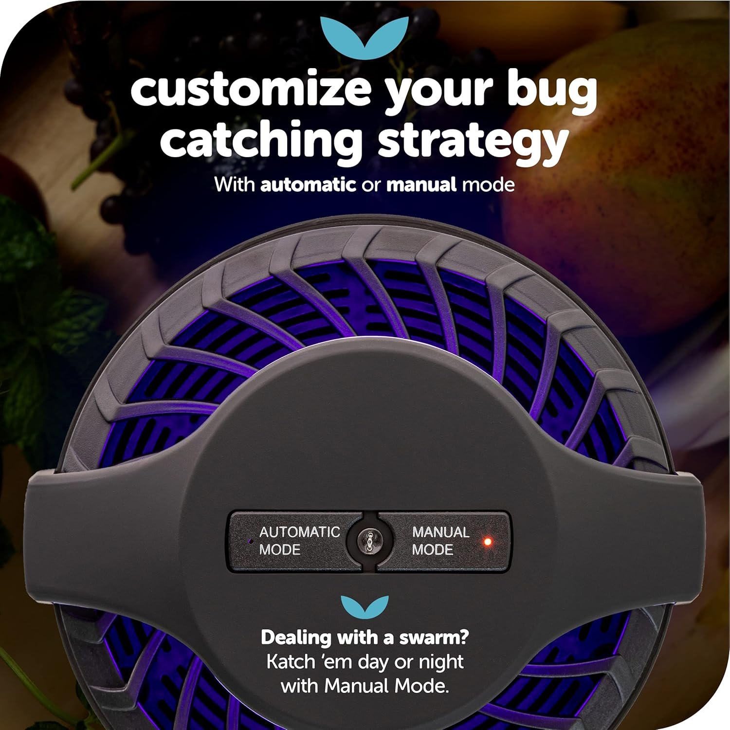 蓝光风扇室内捕虫器 – 留学生小厨房切水果无飞虫烦恼 自动吸捕蚊子果蝇（黑）