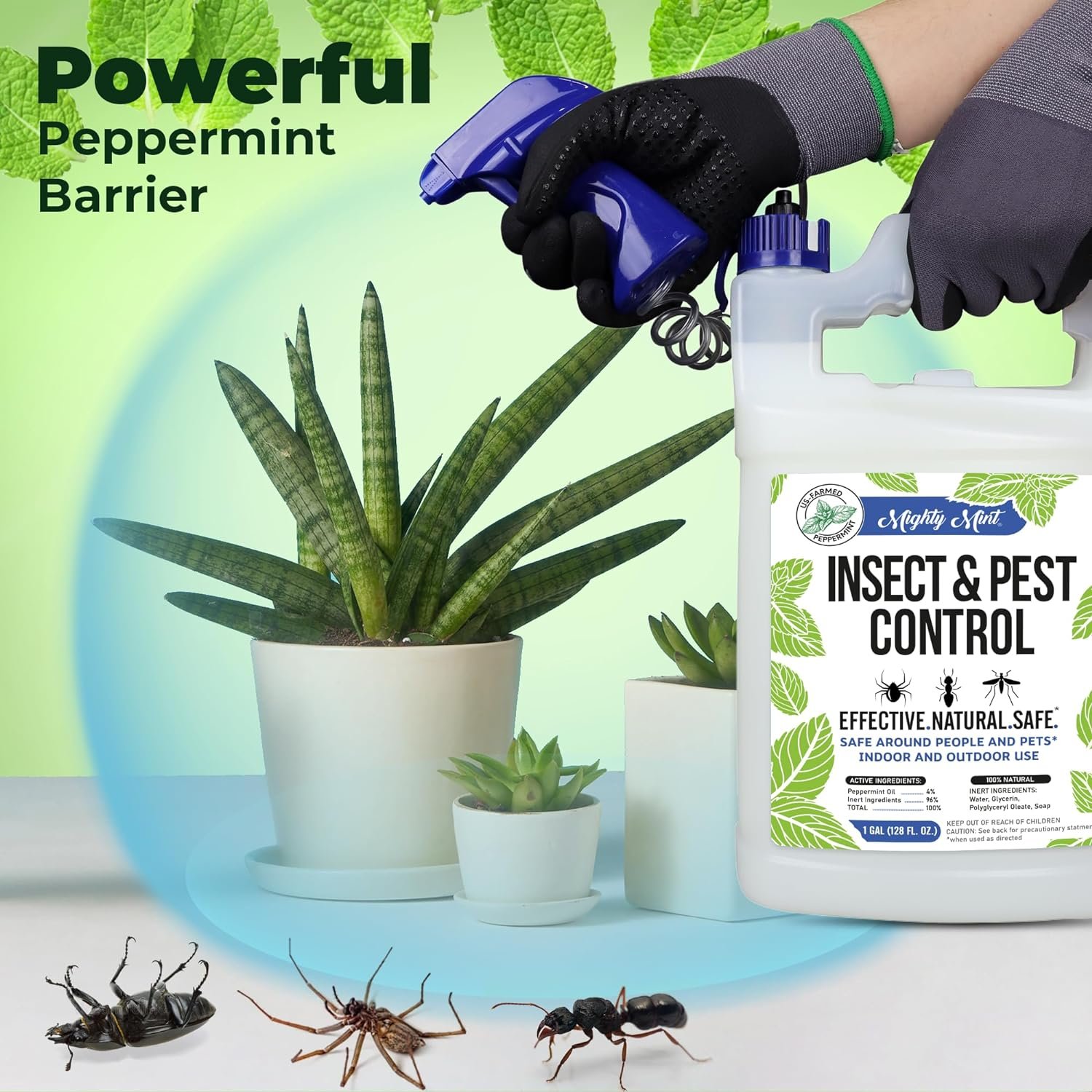 128盎司薄荷油天然驱虫喷雾 - 留学生宿舍厨房蚂蚁蜘蛛一喷净空