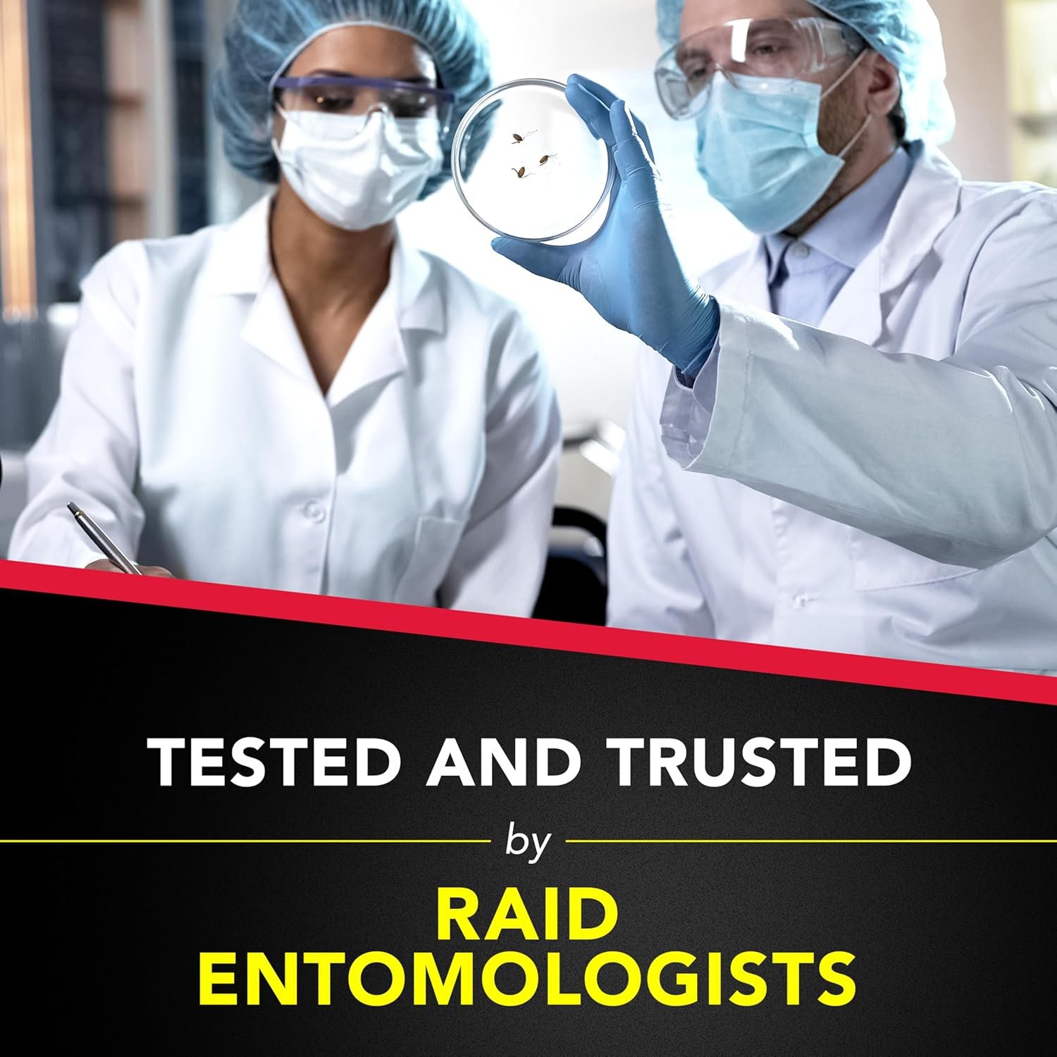 宿舍厨房蚂蚁诱饵杀虫剂 留学生独居小窝儿童安全室内除蚁 0.24盎司8粒