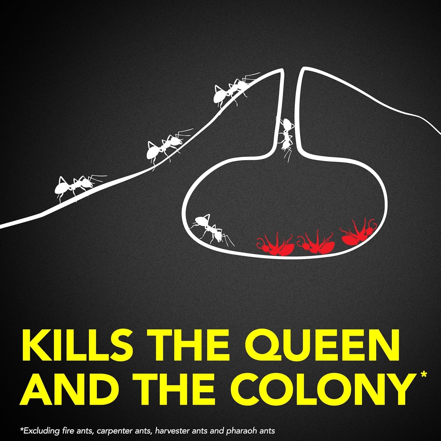 宿舍厨房蚂蚁诱饵杀虫剂 留学生独居小窝儿童安全室内除蚁 0.24盎司8粒