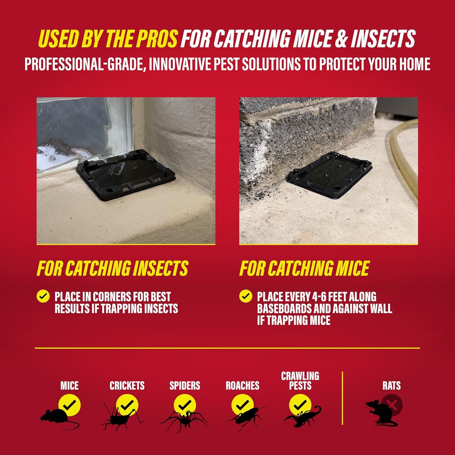 6片重型无农药鼠虫胶粘陷阱，留学生海外公寓厨房深夜鼠窜瞬间守护者