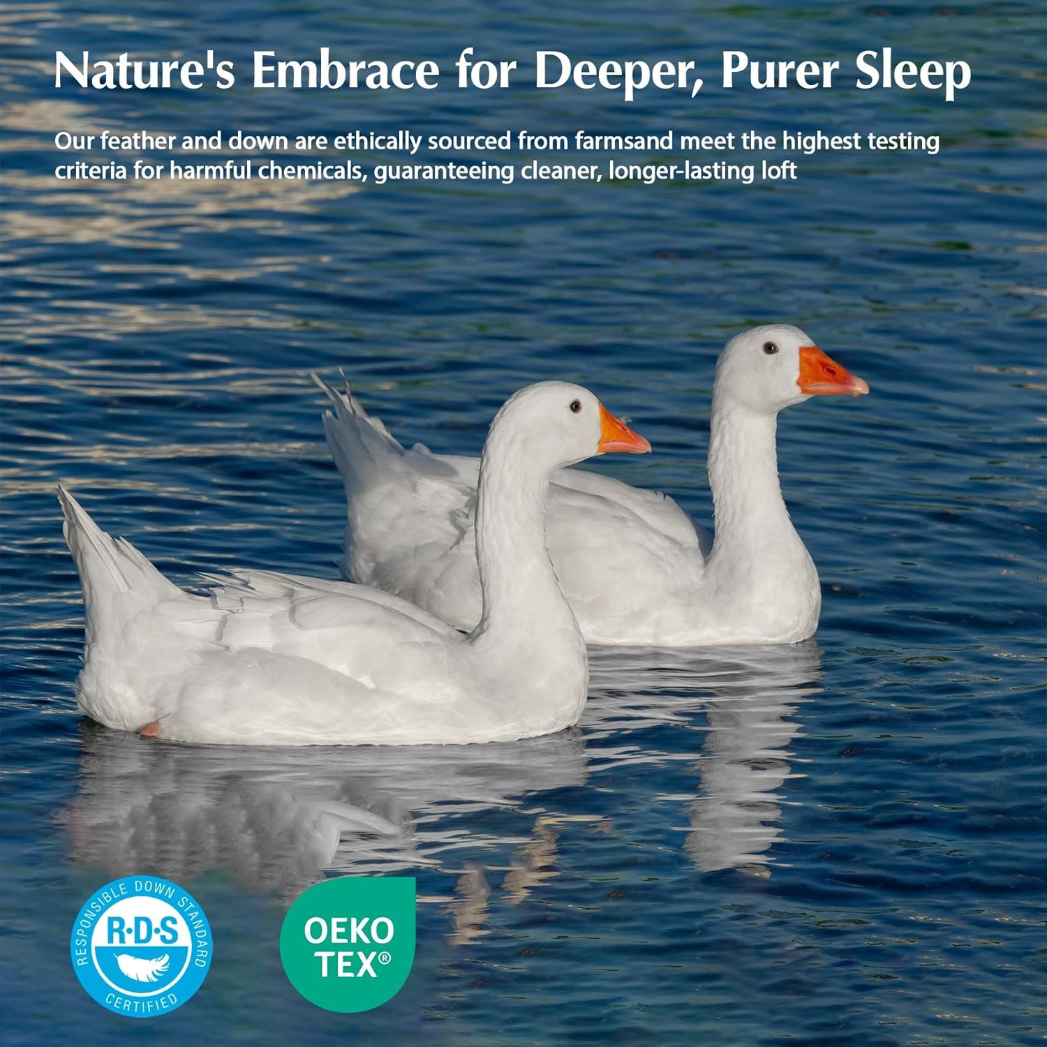 白鹅绒女王尺寸四季床被芯，留学生海外独居夜里温暖如家钻被窝瞬间