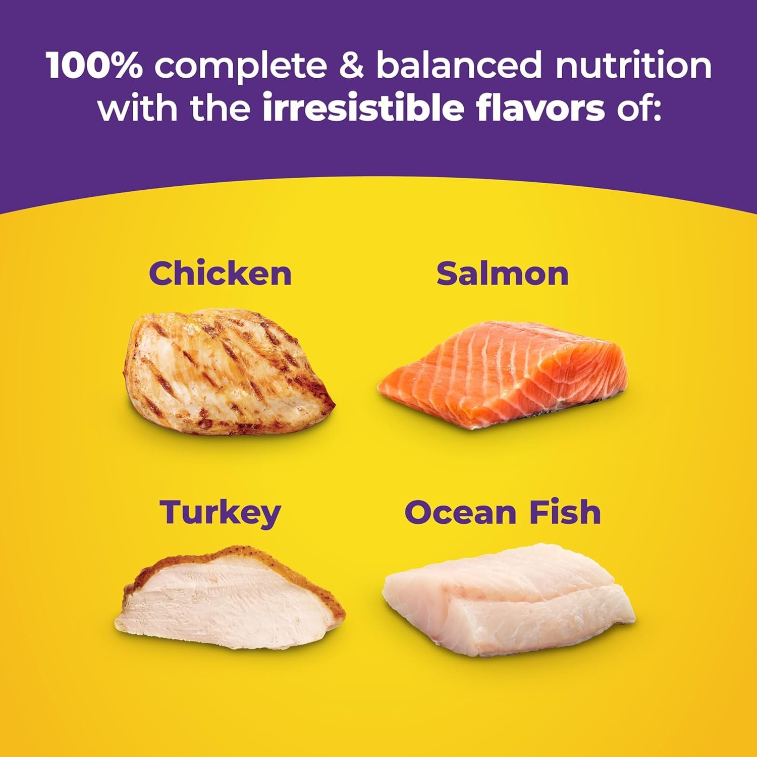 原味干猫粮6.3磅大袋，留学生异乡小窝喂猫解锁日常温暖陪伴