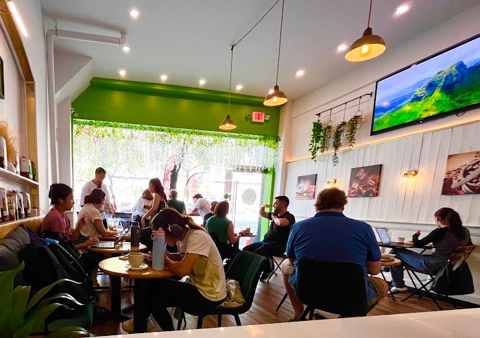 纽约熬夜党福音：Gold coffee一口热浪，due压力秒融化！